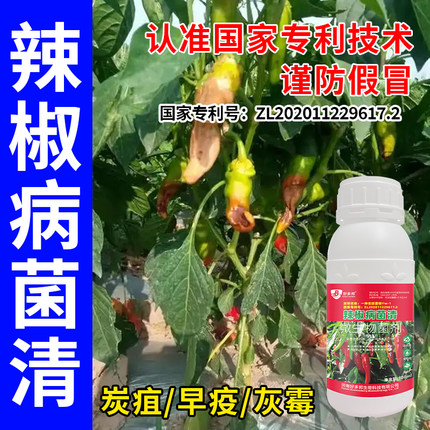 辣椒病专用药国家专利配方辣椒花叶卷叶病毒病烂皮烂果炭疽软腐病
