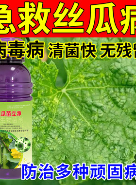 丝瓜专用菌立净枯萎霜霉锈病白粉黄斑炭疽卷叶软腐菌核生物杀菌剂