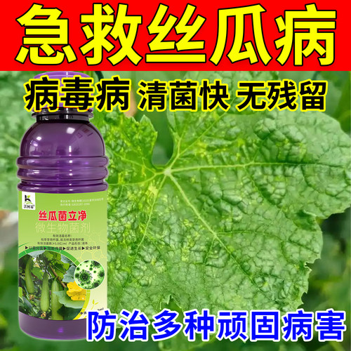 丝瓜专用菌立净枯萎霜霉锈病白粉黄斑炭疽卷叶软腐菌核生物杀菌剂