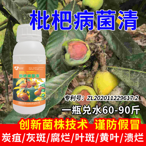 枇杷病专用杀菌剂国家专利配方枇杷炭疽病褐腐灰霉烟煤叶斑病腐烂