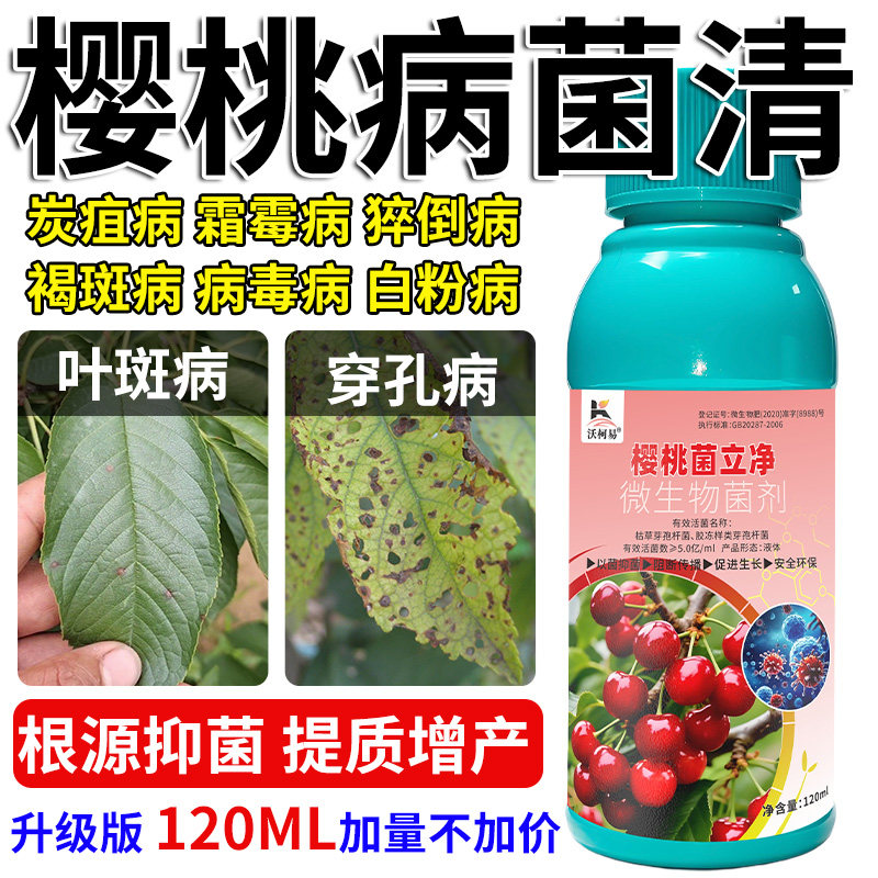 樱桃菌立净樱桃病害清白粉霜霉褐斑炭疽叶斑穿孔根腐流胶杀菌剂
