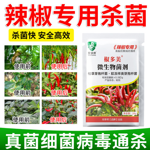 辣椒病全防专用药枯萎病花叶病毒辣椒黄叶卷叶疫病害清防病全能王