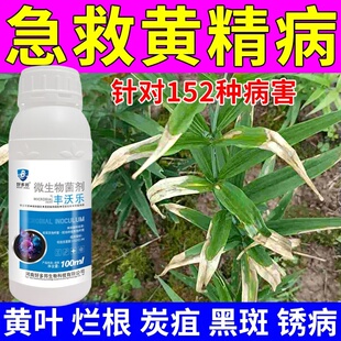黄精病全治黄精专用药杀菌剂根腐病炭疽病黑斑病叶枯病炭疽病通用