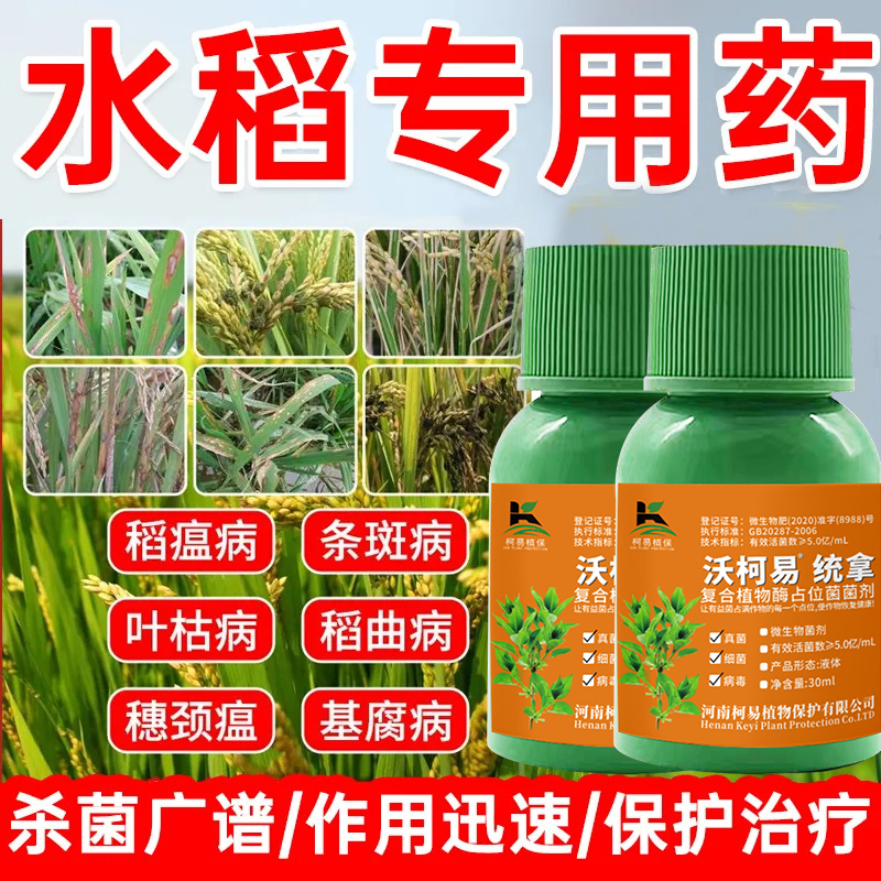 水稻病全治水稻杀菌剂稻瘟病纹枯病叶枯病稻曲病褐条病水稻病害药