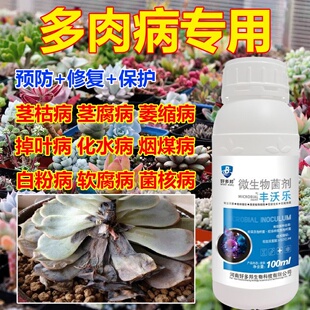 多肉烂根专用杀菌剂叶子黑腐化水掉叶白粉烟煤病百菌清肥料营养液