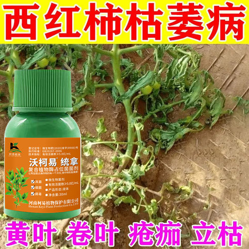 正品番茄专用药西红柿青枯病卷叶病黄叶灰霉疫病脐腐病微香薰粉