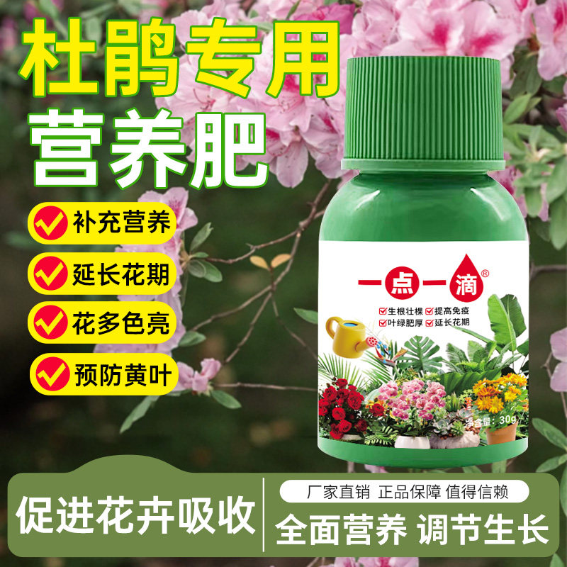 急救杜鹃花营养液专治叶子枯萎黄叶掉叶枯萎掉花苞不开花枯枝肥料