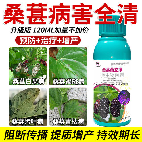 沃柯易桑葚菌立净白果褐斑污叶青枯菌核断梢炭疽黄叶腐烂专用药