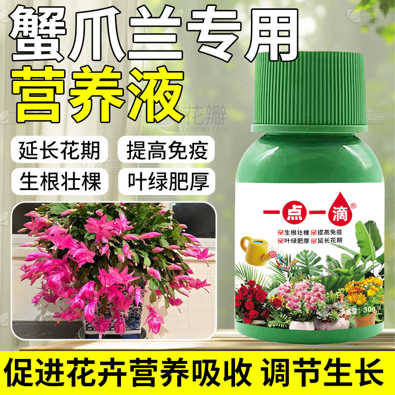 蟹爪兰专用肥料养花肥料蟹爪兰四季开花营养液浓缩养花通用肥料