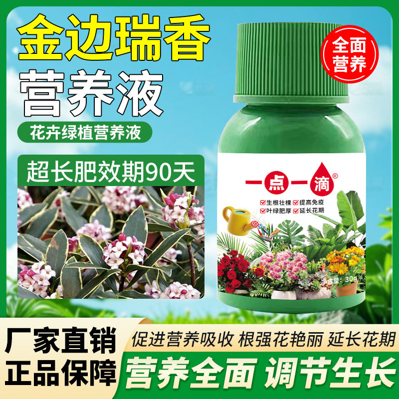 一点一滴金边瑞香专用肥花多色亮延花期盆栽绿植室内外家用种植肥