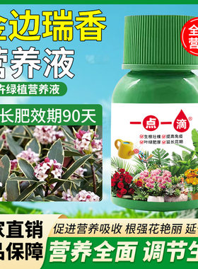 一点一滴金边瑞香专用肥花多色亮延花期盆栽绿植室内外家用种植肥