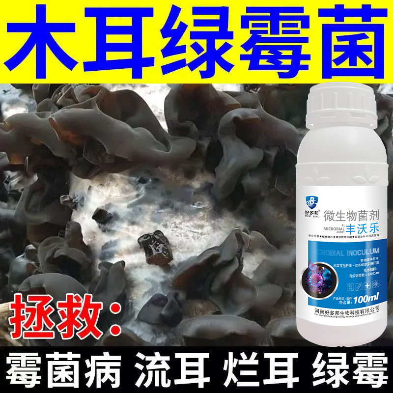 木耳病害清木耳专用药绿霉菌流耳烂耳病白粉病根霉病霉菌病杀菌剂
