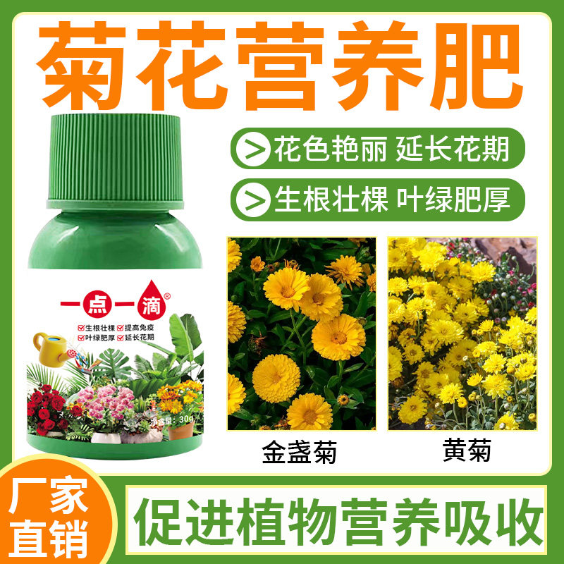 菊花适用营养液室内花卉绿植通用型花肥预防黄叶促生长专用肥料