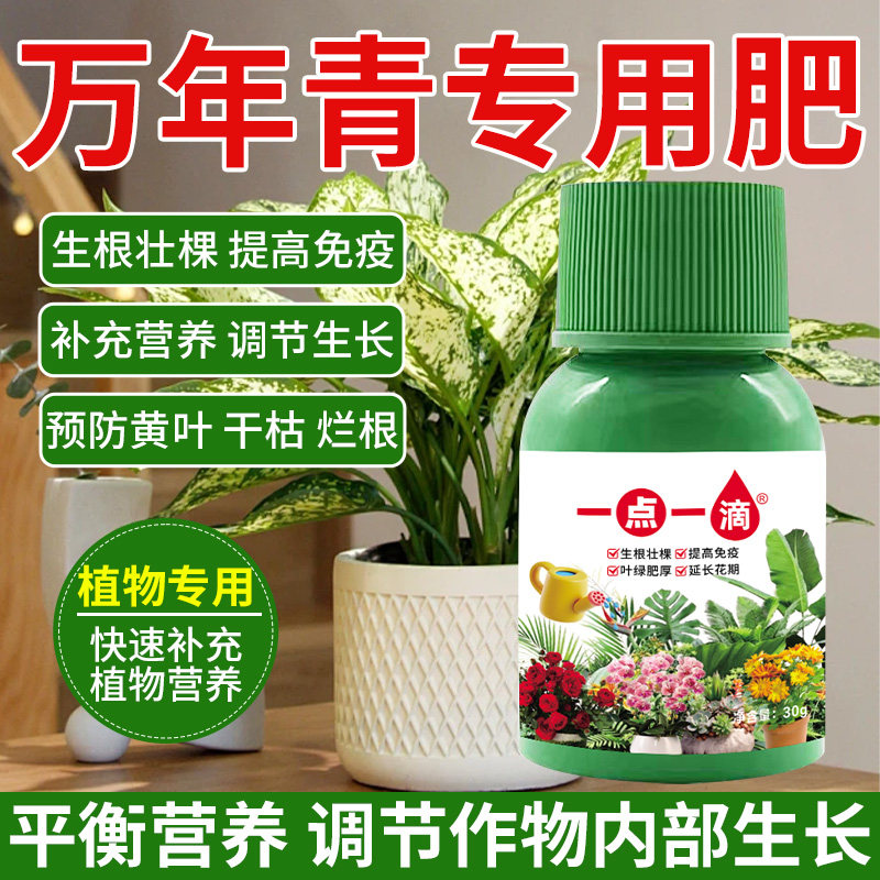 万年青营养液通用型万年青专用营养液花肥绿植水培植物肥料浓缩