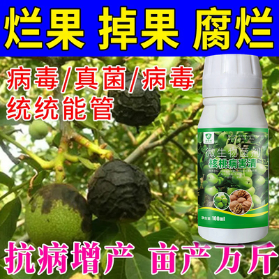 核桃炭疽病专用杀菌剂核桃树病全治黑斑病炭疽病坏仁黑星病日灼病