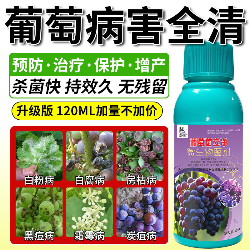 沃柯易葡萄菌立净房枯霜霉白腐黑痘炭疽白粉褐斑溃疡烂果专用药