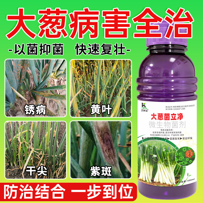 大葱专用杀菌剂大葱黄叶干尖霜霉锈病黑斑紫斑叶枯软腐菌核杀菌剂