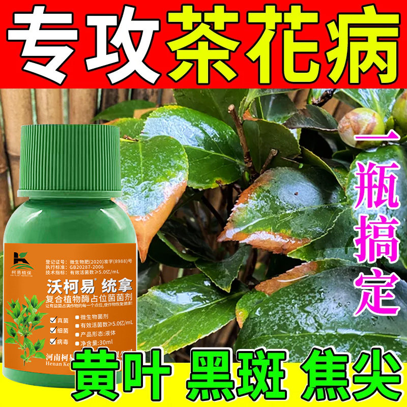 茶花黑斑专用肥料山茶花营养液枯萎病黑斑病黄叶干尖通用型杀菌剂
