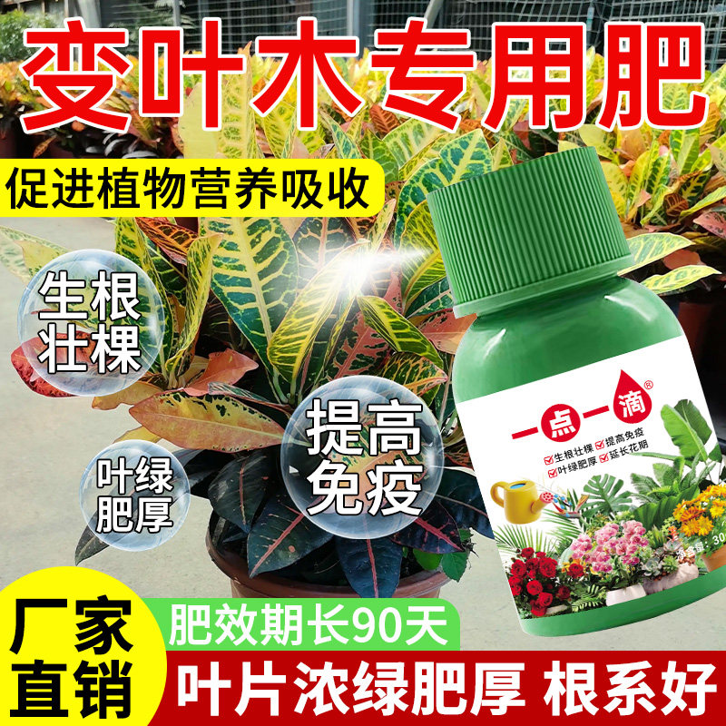 变叶木营养液植物再生剂变色木不落叶肥料蔫吧黄叶烂根焦尖专用