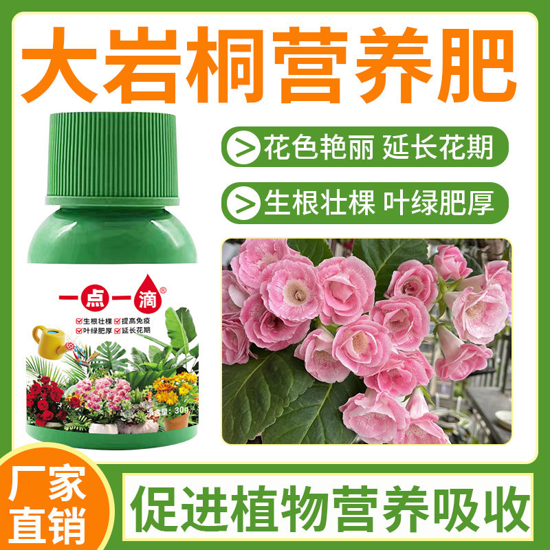 大岩桐专用肥料盆栽花苗营养液氮磷钾开花长花苞发芽长新叶面肥料