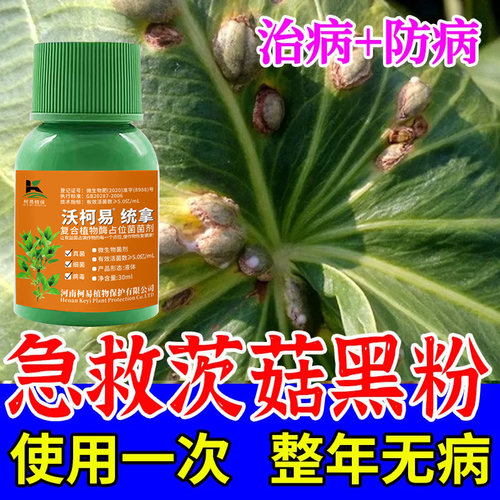 茨菇软腐病茨菇病全治茨菇黄叶病黑粉病软腐病褐斑卷叶专用杀菌剂
