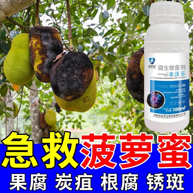 菠萝蜜专用药菠萝蜜病全管灰霉病炭疽病裂果菠腐病药果腐病杀菌剂