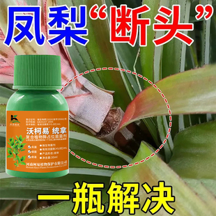 凤梨专用药凤梨杀菌剂凤梨病全治心腐病凋萎病曲颈病绿萎病通用型