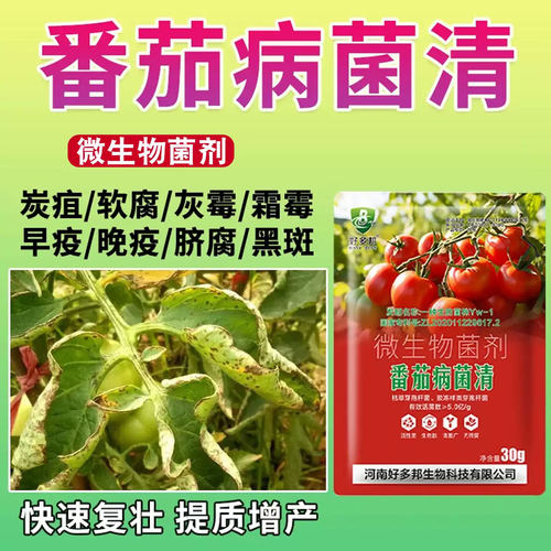 好多邦番茄病菌清番茄病害专用