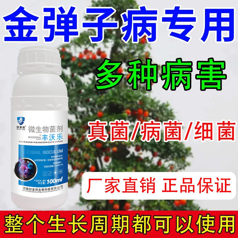 金弹子除菌液叶斑病黑斑病炭疽病灰霉病除菌抑菌防黄叶肥料菌立净