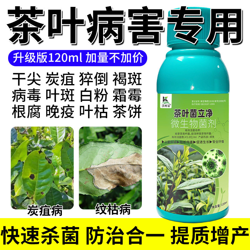 茶叶病害专用茶饼病炭疽病轮纹病叶枯病茶霉白星病毒病茶树正品药