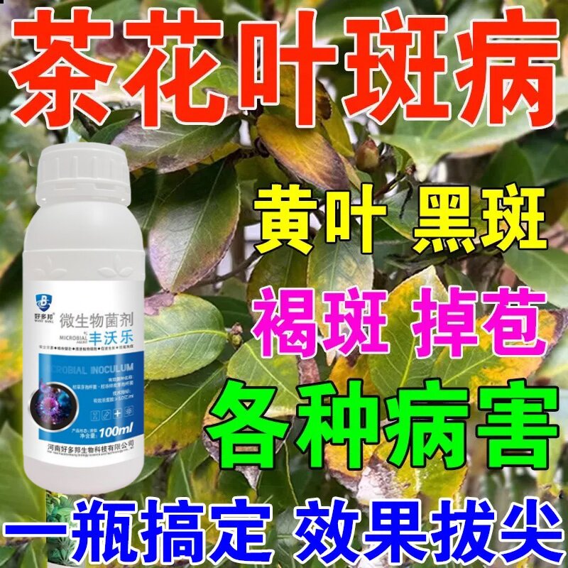 茶花病害专用防控肥料营养液山茶花黄叶病黑斑病焦尖掉花苞不开花
