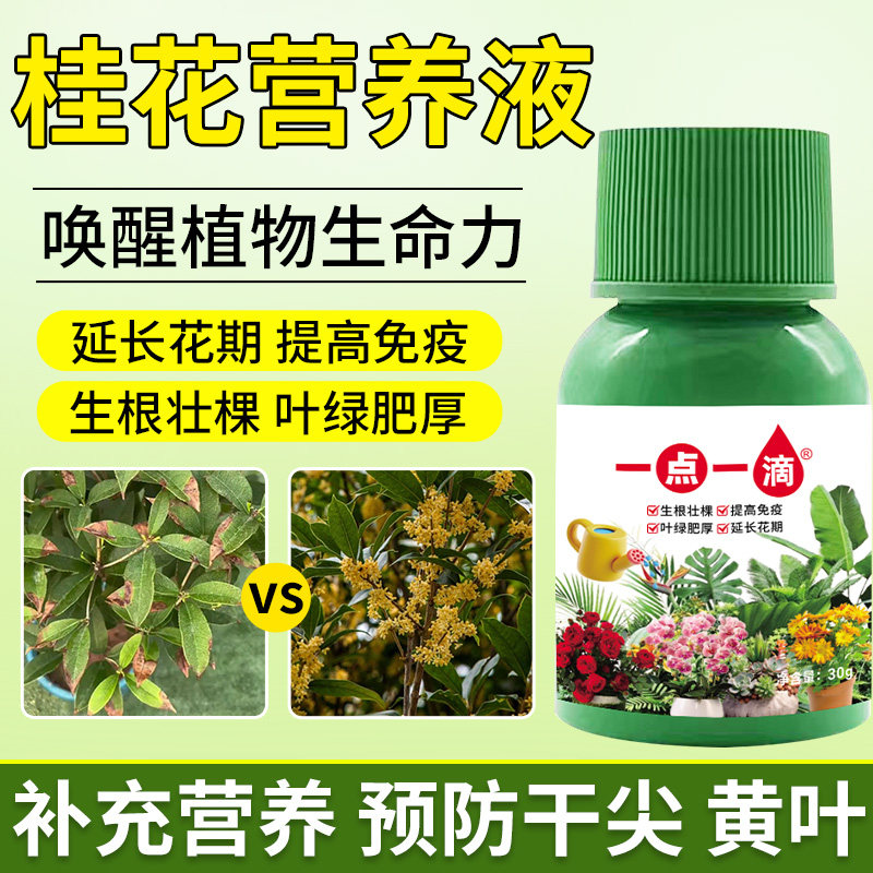 桂花浓缩营养液肥料桂花树专用肥家用花肥料盆栽通用客厅有机养花