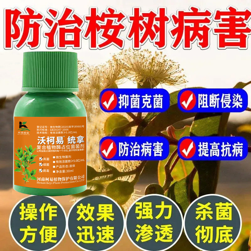 桉树红叶枯梢病害桉树黄叶病枯萎病特效青枯叶焦茎腐杀菌剂病全清