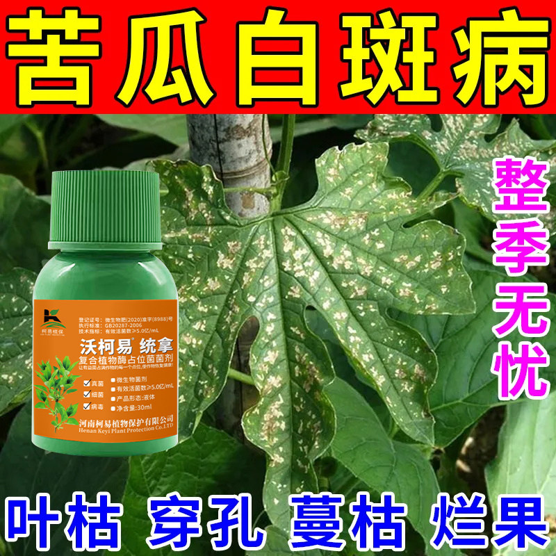 苦瓜专用杀菌剂苦瓜病全治微生物菌肥炭疽病根腐病疫病黄矮纹枯病