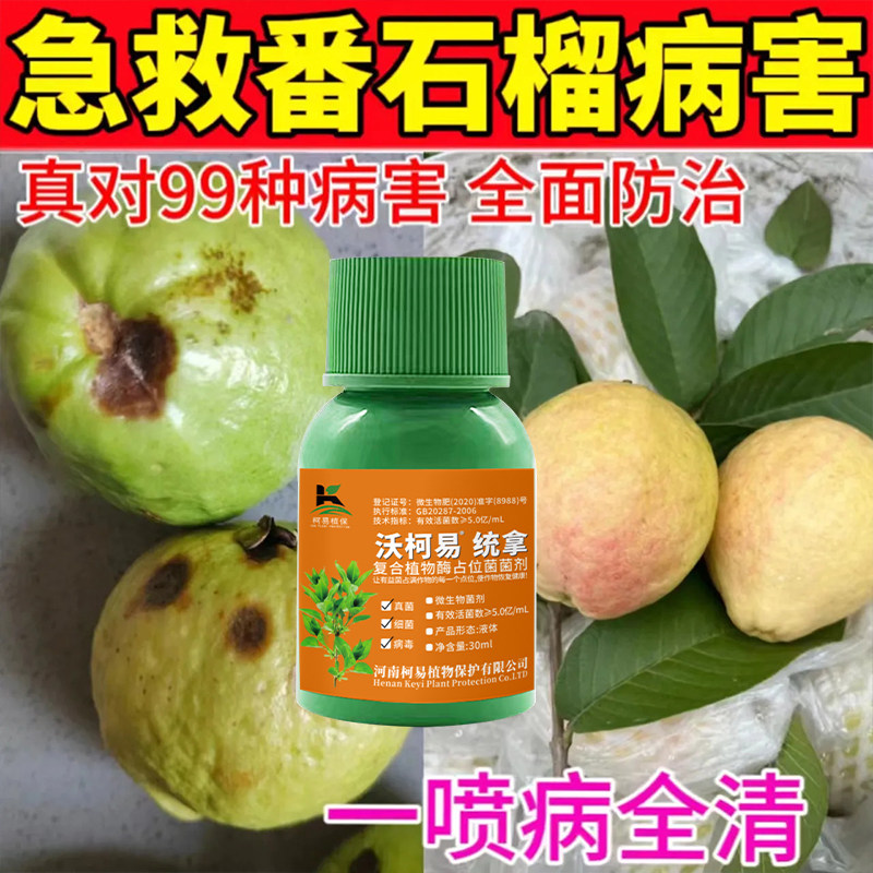 芭乐果番石榴专用杀菌剂病害全杀番石榴营养液病害全治溃疡炭疽病