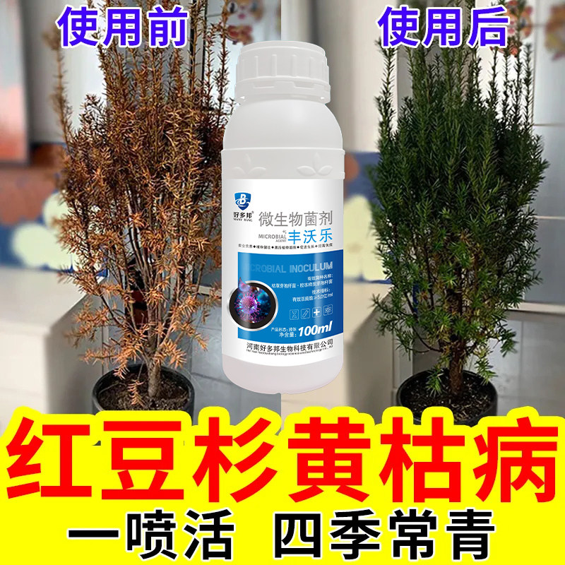 红豆杉复活液】红豆杉病专用药黄叶干尖不开花不挂果促生长叶面肥