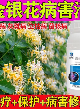 金银花杀菌剂杀菌药枯萎病炭疽病金银花白粉病锈病营养液枝枯白粉