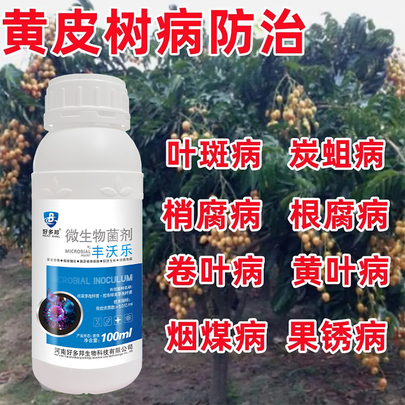 黄皮梢腐病专用药黄皮果专用药黄皮炭疽病烟煤病黄叶病专用杀菌剂