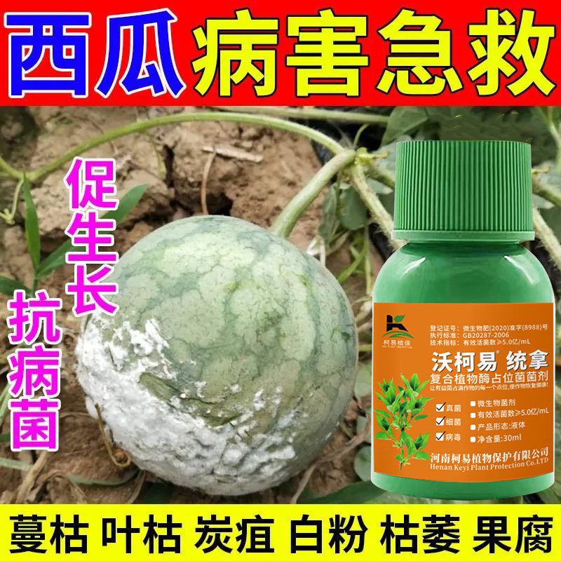 西瓜病全治专用杀菌剂防治病毒病枯萎病炭疽病白粉病叶斑根腐病