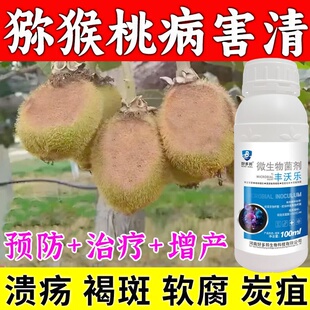 猕猴桃病专治猕猴桃专用杀菌剂溃疡病褐斑病花叶斑病软腐病炭疽病