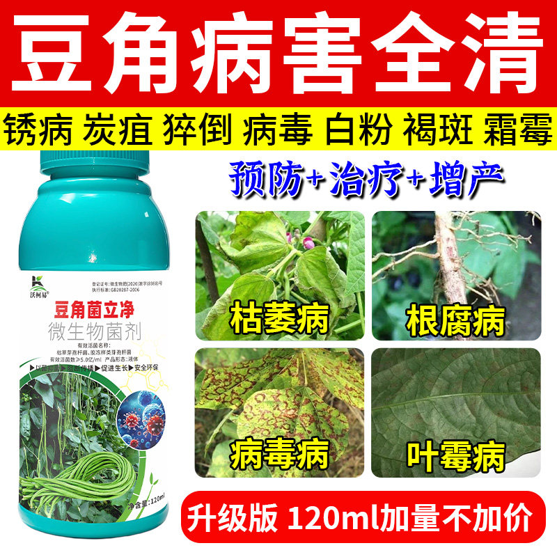 豆角病害清豆角锈病炭疽病青枯病叶斑病毒病根腐病白粉病专用杀菌