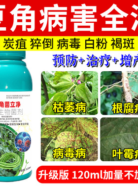 豆角病害清豆角锈病炭疽病青枯病叶斑病毒病根腐病白粉病专用杀菌