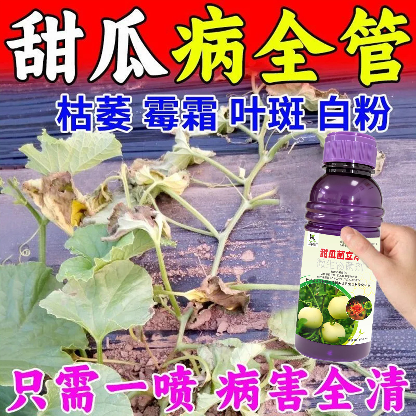 甜瓜病专用药叶斑疫病霜霉化瓜果腐枯萎白粉蔓枯炭疽香瓜杀菌剂