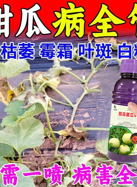 甜瓜病专用药叶斑疫病霜霉化瓜果腐枯萎白粉蔓枯炭疽香瓜杀菌剂