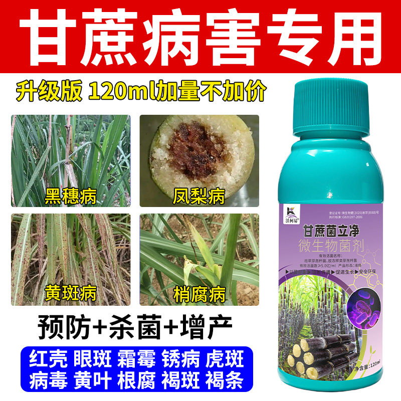 甘蔗菌立净甘蔗病害清黑穗凤梨梢腐红壳霜霉锈病黄叶根腐杀菌剂