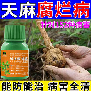 天麻地土壤杀菌消毒剂连作抗重茬专用防土传病害根腐微生物菌肥