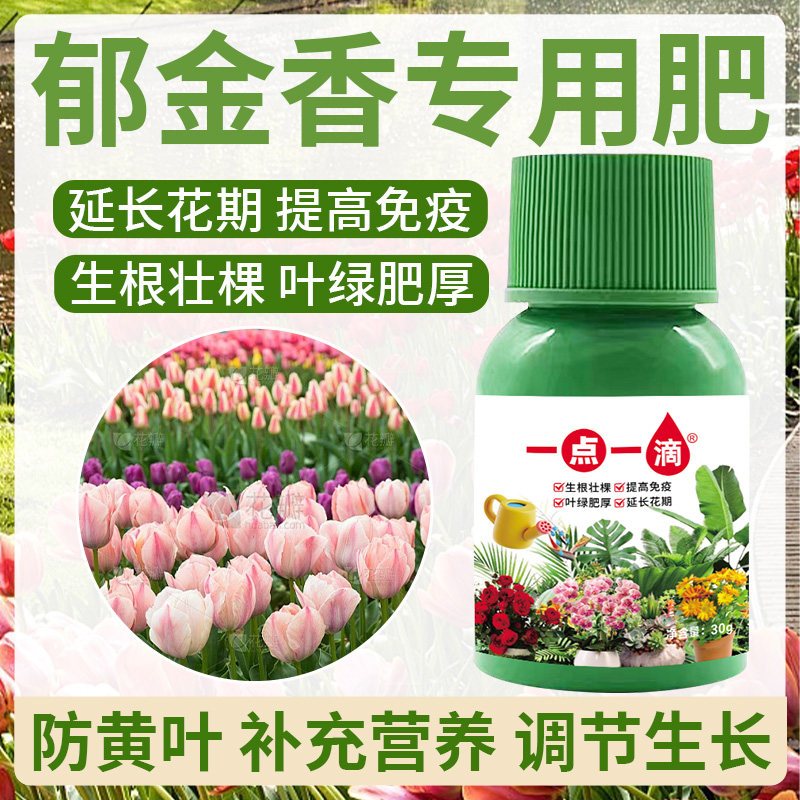 郁金香专用营养液通用型三合一营养液花肥花卉水培绿植物养花肥料