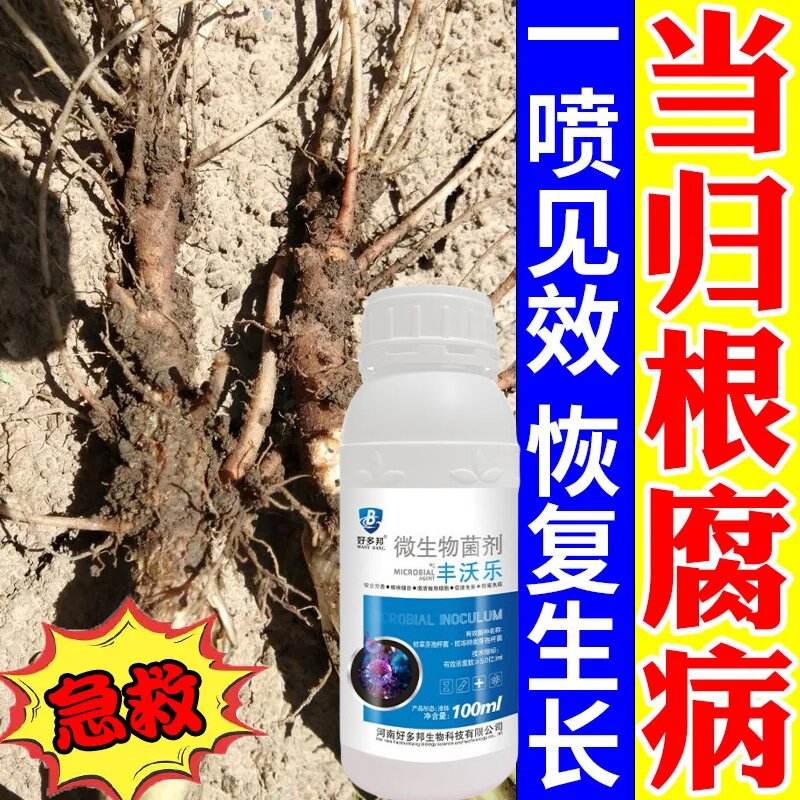 当归根腐病专用药当归病全治褐斑病菌核病锈病麻口死苗烂根杀菌剂