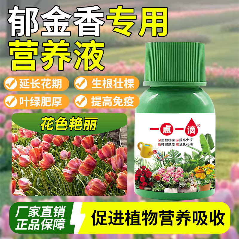 郁金香营养液通用型专用花肥绿植盆栽水培植物液体肥料治黄叶