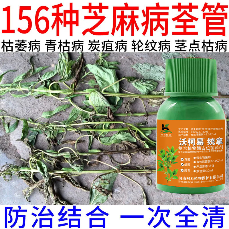 正品芝麻病全治芝麻清菌剂微生物菌剂立枯病根腐病角斑病炭疽病
